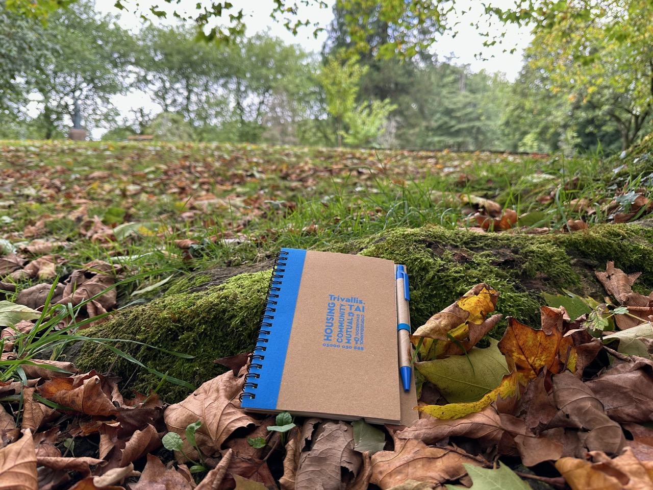 Trivallis Housing Landlord Wales A notebook and pen rest on moss-covered ground surrounded by fallen leaves in a park. Trees and grass are visible in the background.