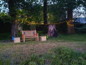 Trivallis Housing Landlord Wales A wooden bench sits on grass between two large trees at dusk. String lights hang between the trees. There are two wooden boxes with bright ribbons near the bench and a large tree stump to the right.