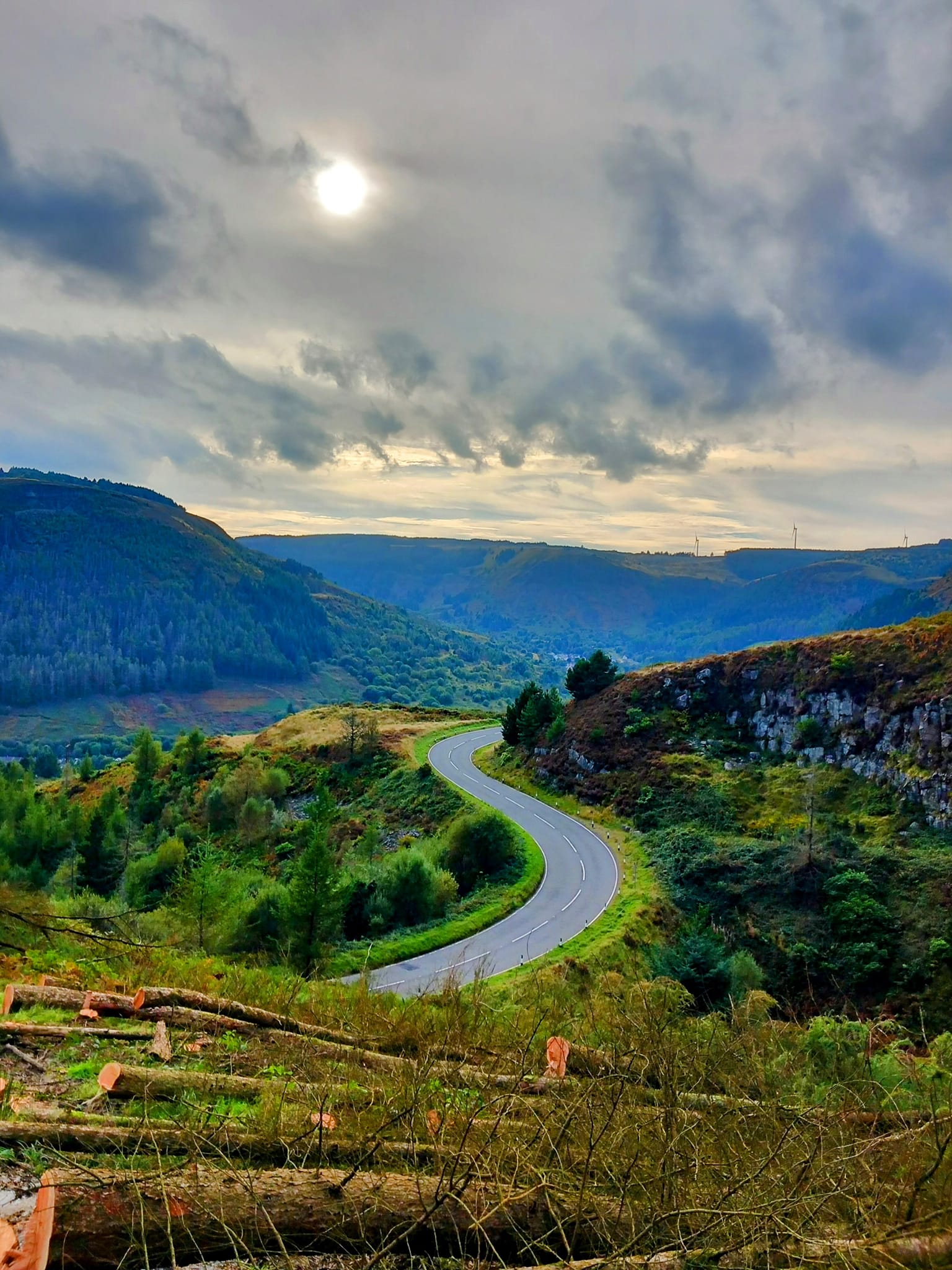 Trivallis Housing Landlord Wales A winding road curves through a hilly, green landscape with patches of trees and felled logs in the foreground. Cloudy sky covers the sun, and distant hills and valleys stretch into the background.